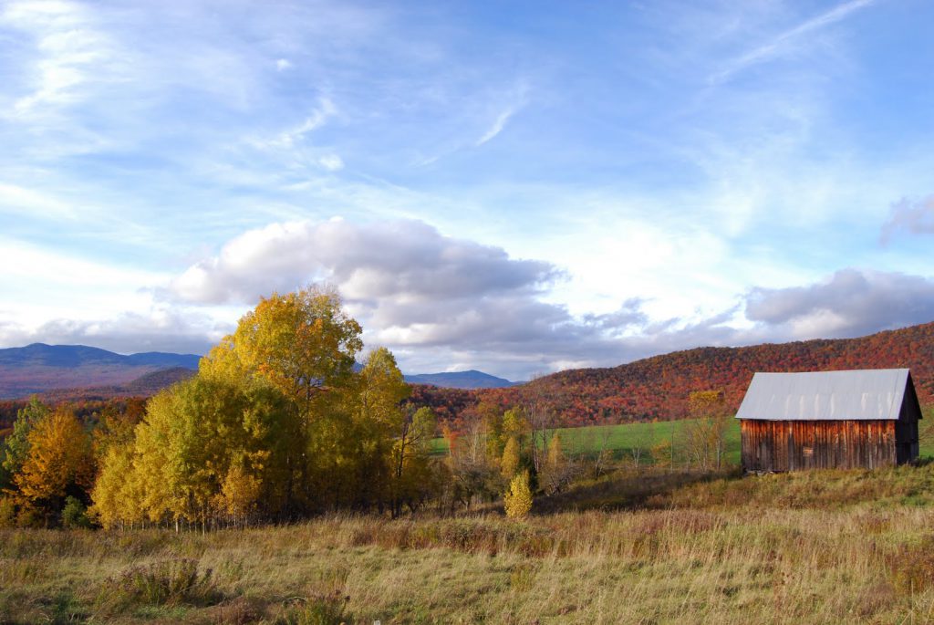 Montpelier foliage Vermont
