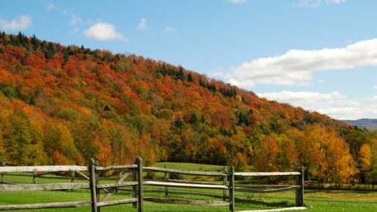 Fall Foliage in the Mad River Valley