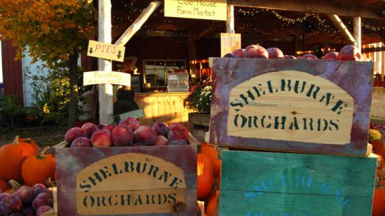 The Early Show at Shelburne Orchards