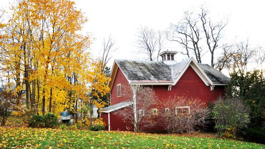 November in Vermont: An Underrated Season