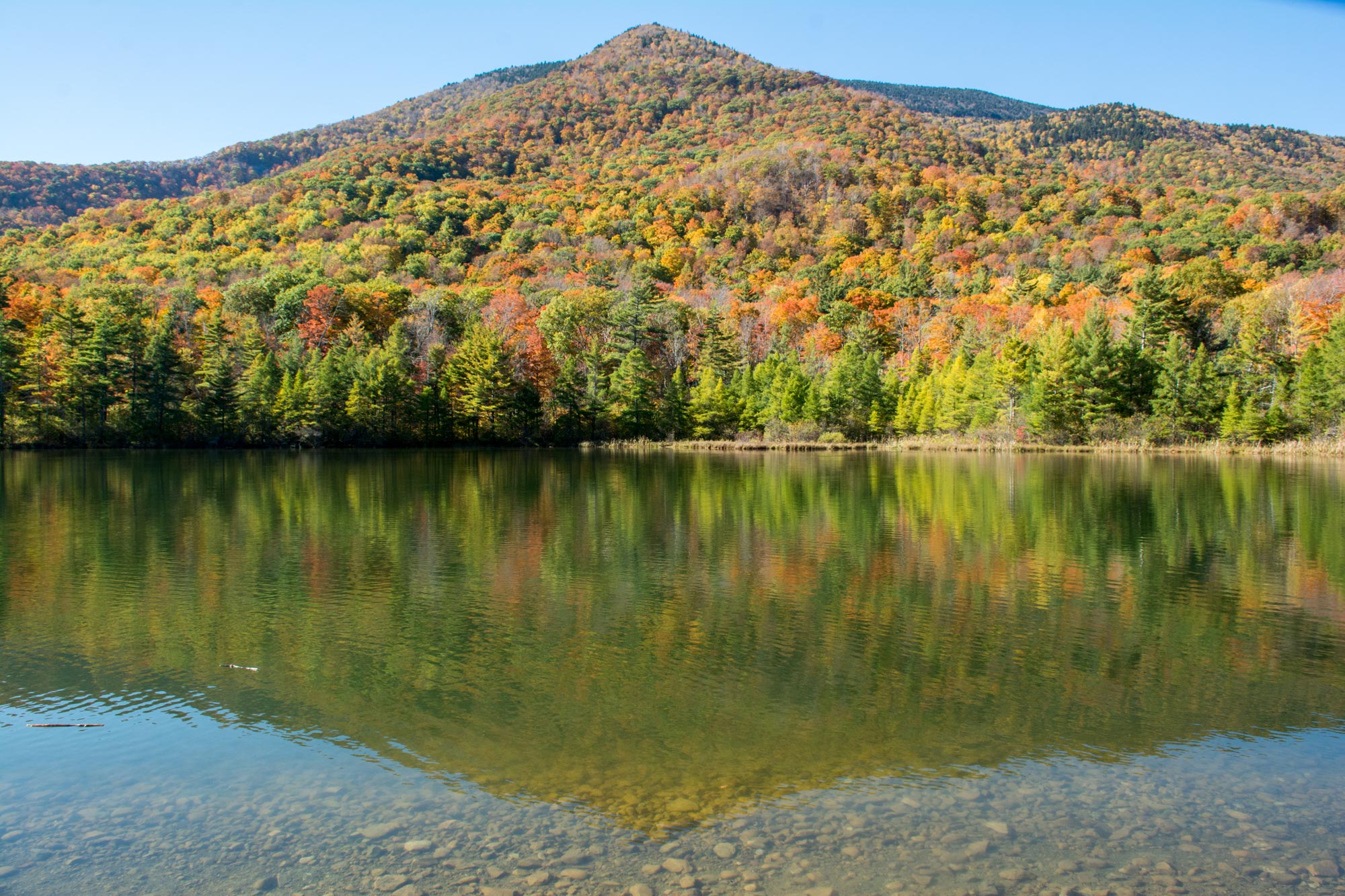 Vermont fall foliage at Equinox Pond 