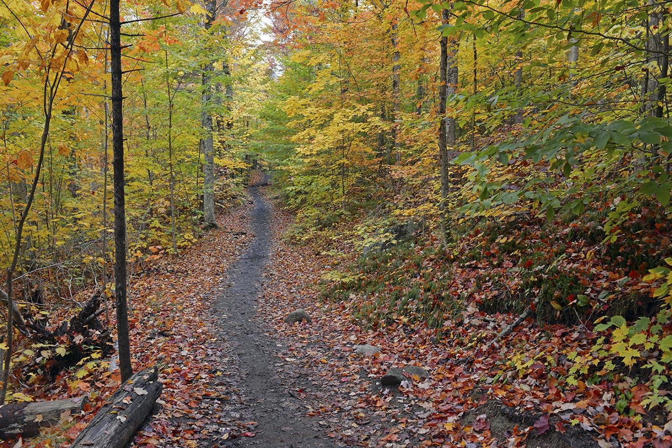 Vermont fall hiking trail