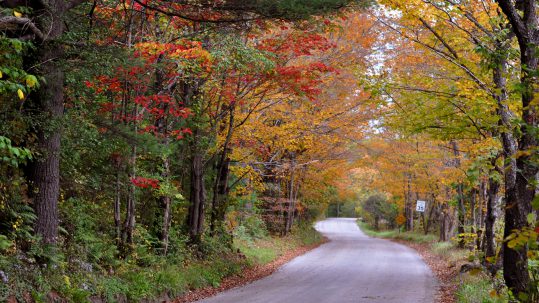 7 of the Most Beautiful Vermont Dirt Roads