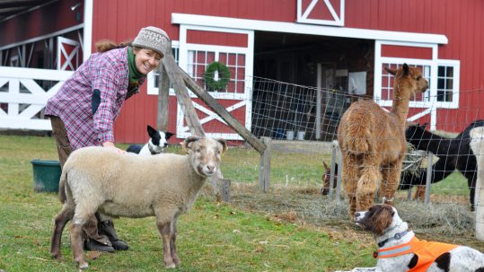 A Leap of Faith at Wing and a Prayer Farm