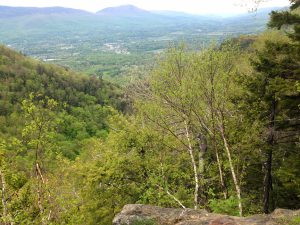 things-to-do-in-manchester-vermont