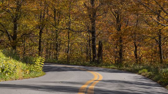 Vermont Mountain Roads to Travel Before The Snow Flies