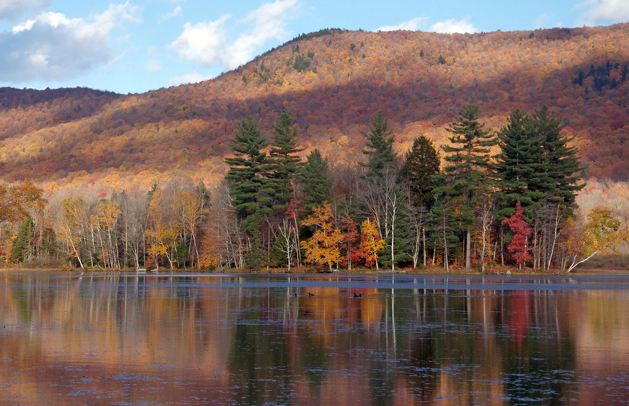 Vermont fall foliage at Lefferts Pond in Chittenden 