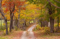 Vermont fall foliage 2020