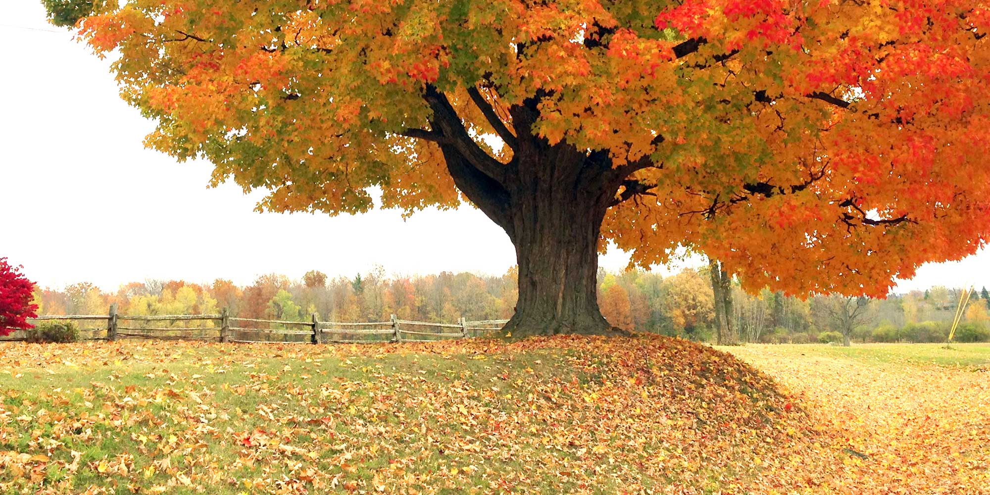 Vermont Fall Events