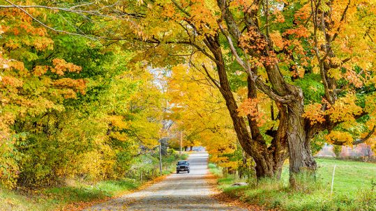 The Best of a Woodstock Fall Foliage Getaway