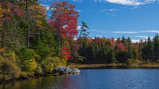 5 Vermont Fall Foliage Hikes on Little-Known State Lands