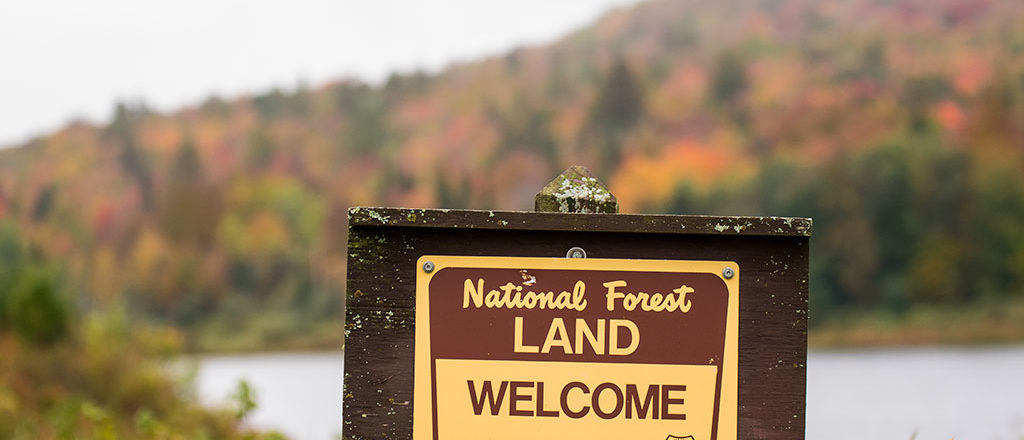 Things to Do in the Green Mountain National Forest