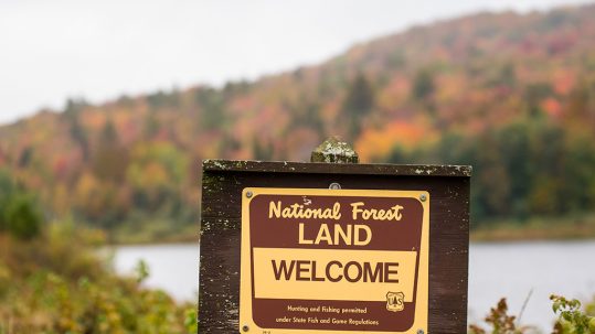 Where to Go and Things to Do in the Green Mountain National Forest