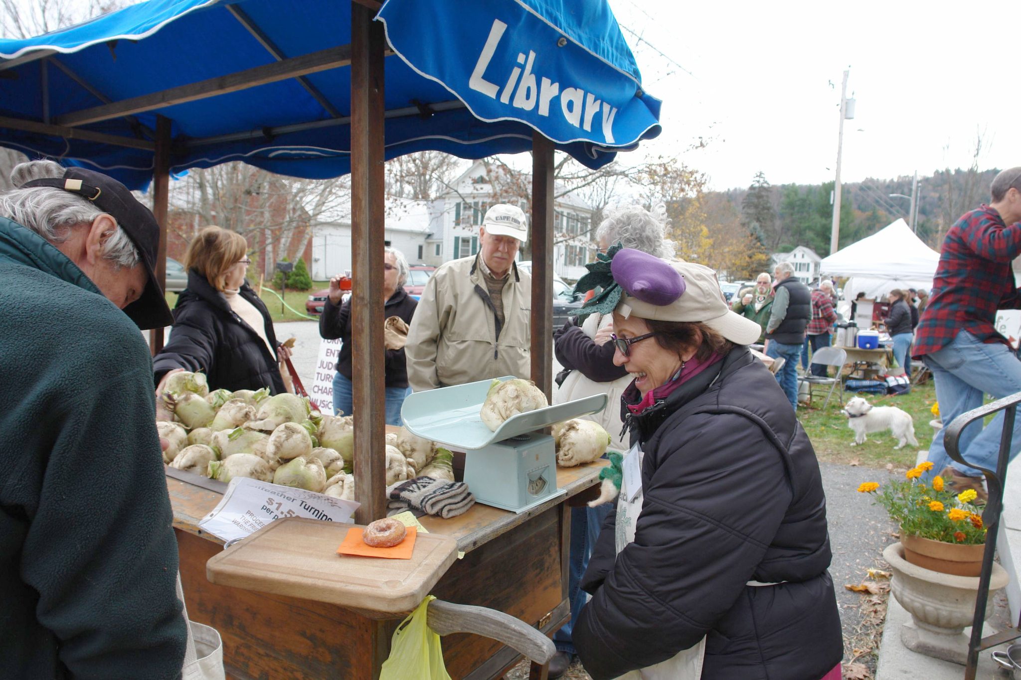 Gilfeather Turnip Roots Runs Deep in Wardsboro