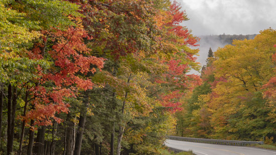 things do to in Vermont this fall