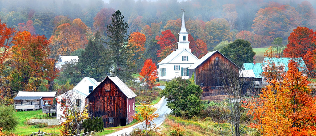 the most maple trees in Vermont