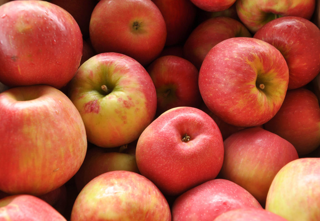 Vermont's apple crop 