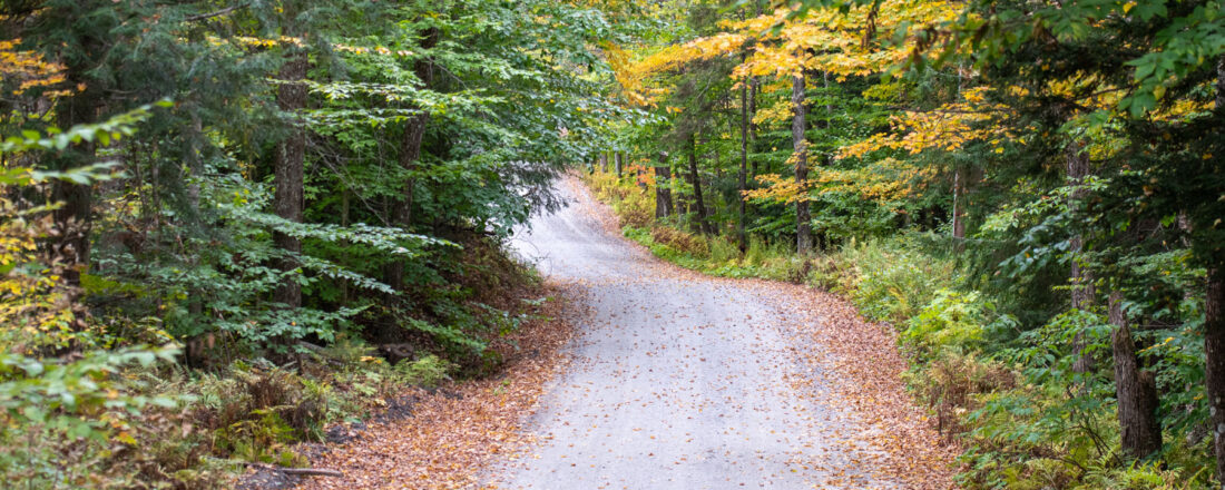 Vermont_Forest_Roads