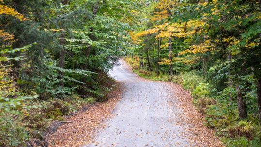 Vermont_Forest_Roads