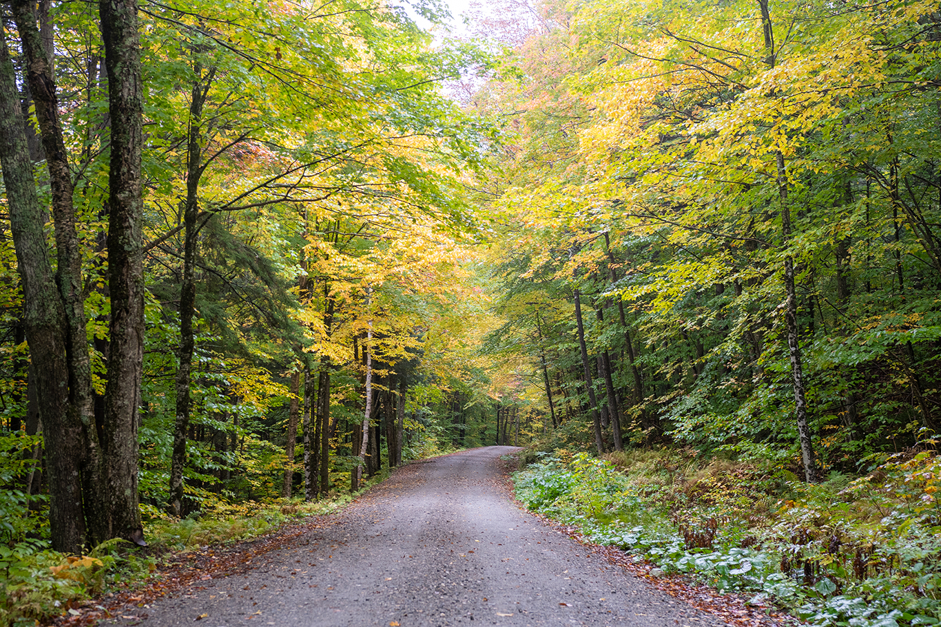 vermont Green Mountain National Forest