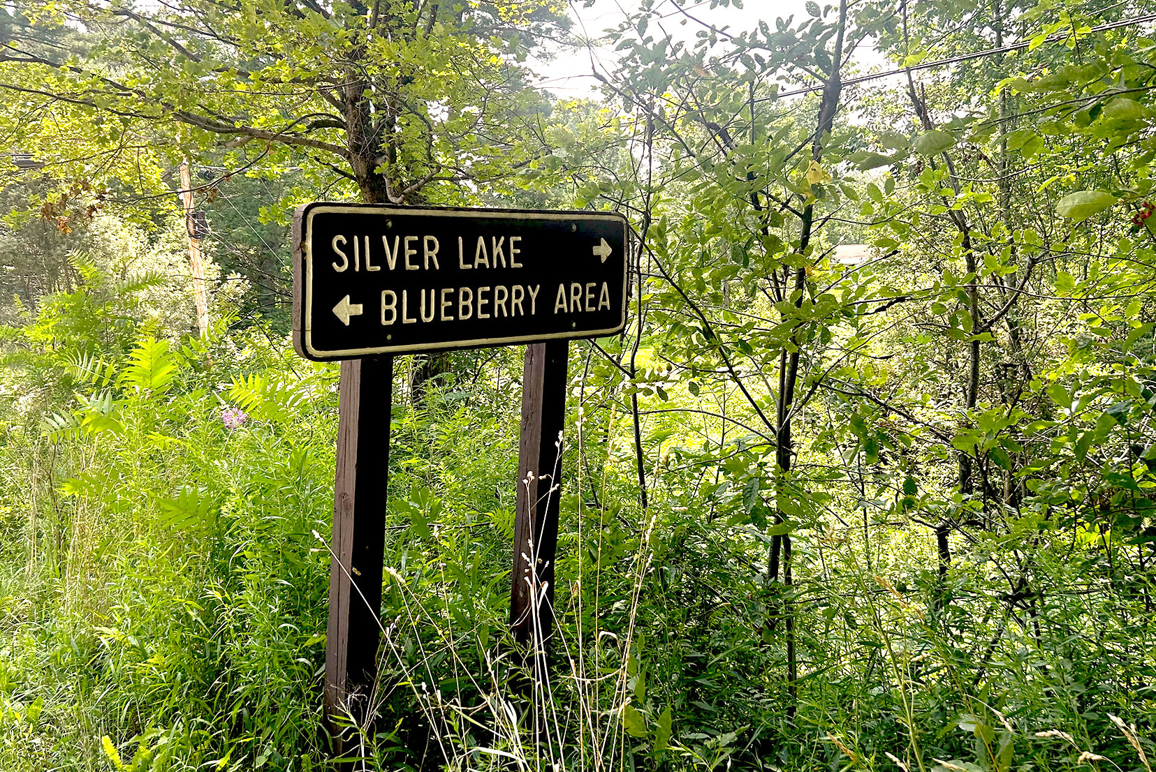 Vermont_Forest_Roads