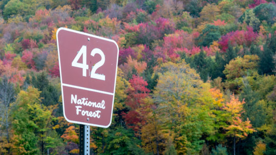 Forest Service Roads in Vermont to Seek Out in Fall