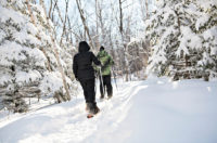 vermont winter trails snowshoeing