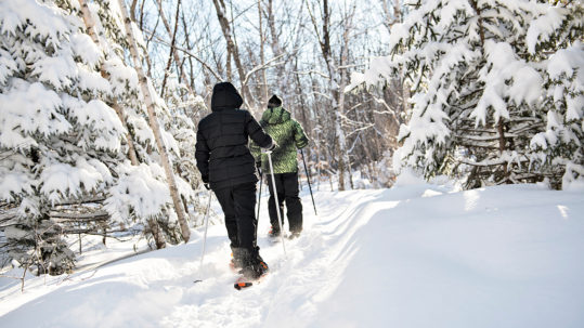 Little-Known Vermont Winter Trails to Explore This Season