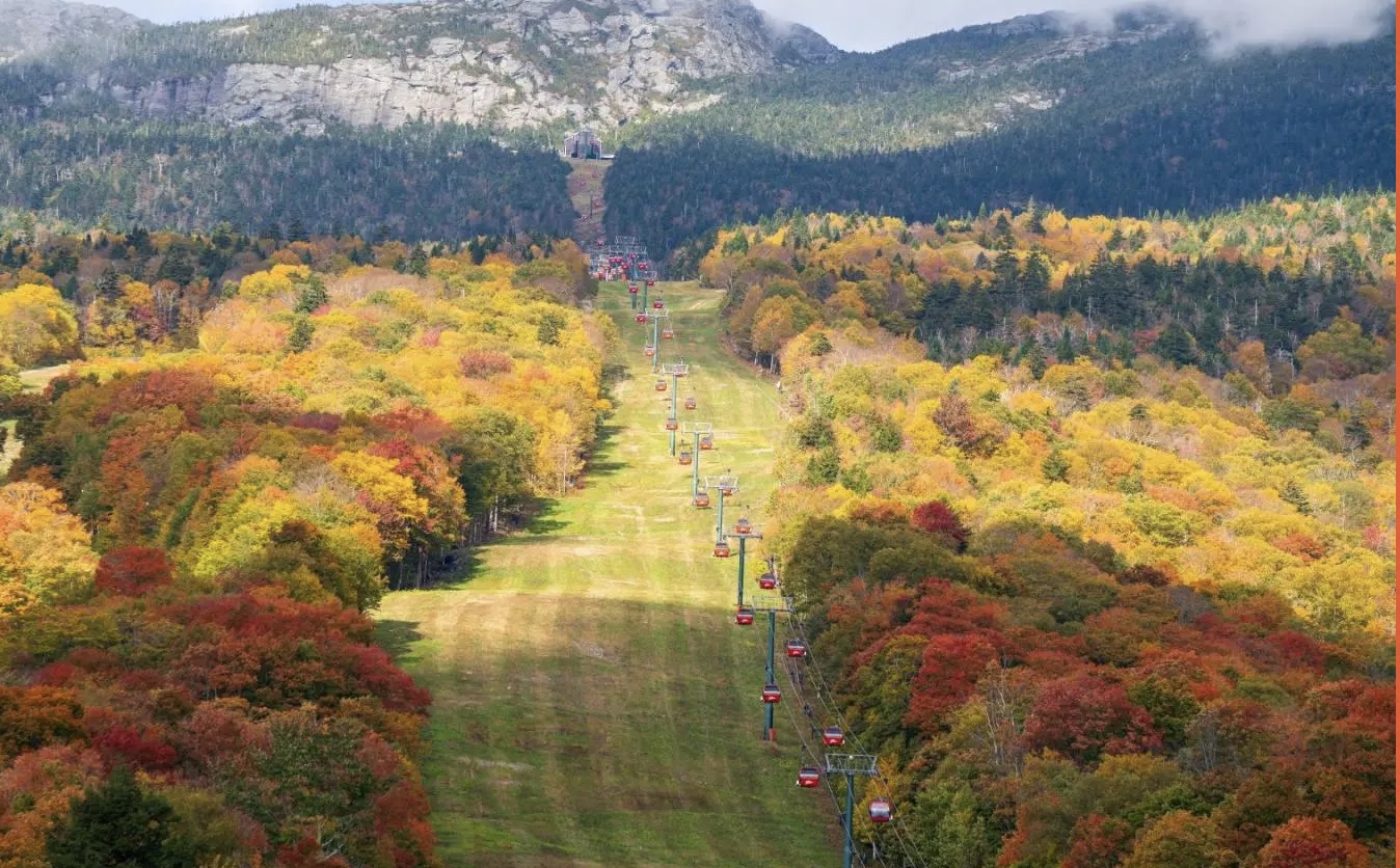 Stowe_Harvest_Festival