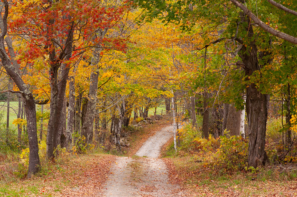 A Conversation about Vermont Fall Foliage Happy Vermont