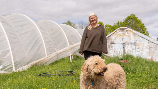 Community, Music and Food at Crossmolina Farm