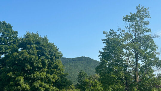 Tales of Treasure Digging on South Mountain in Bristol Tales of Treasure Digging on South Mountain in Bristol