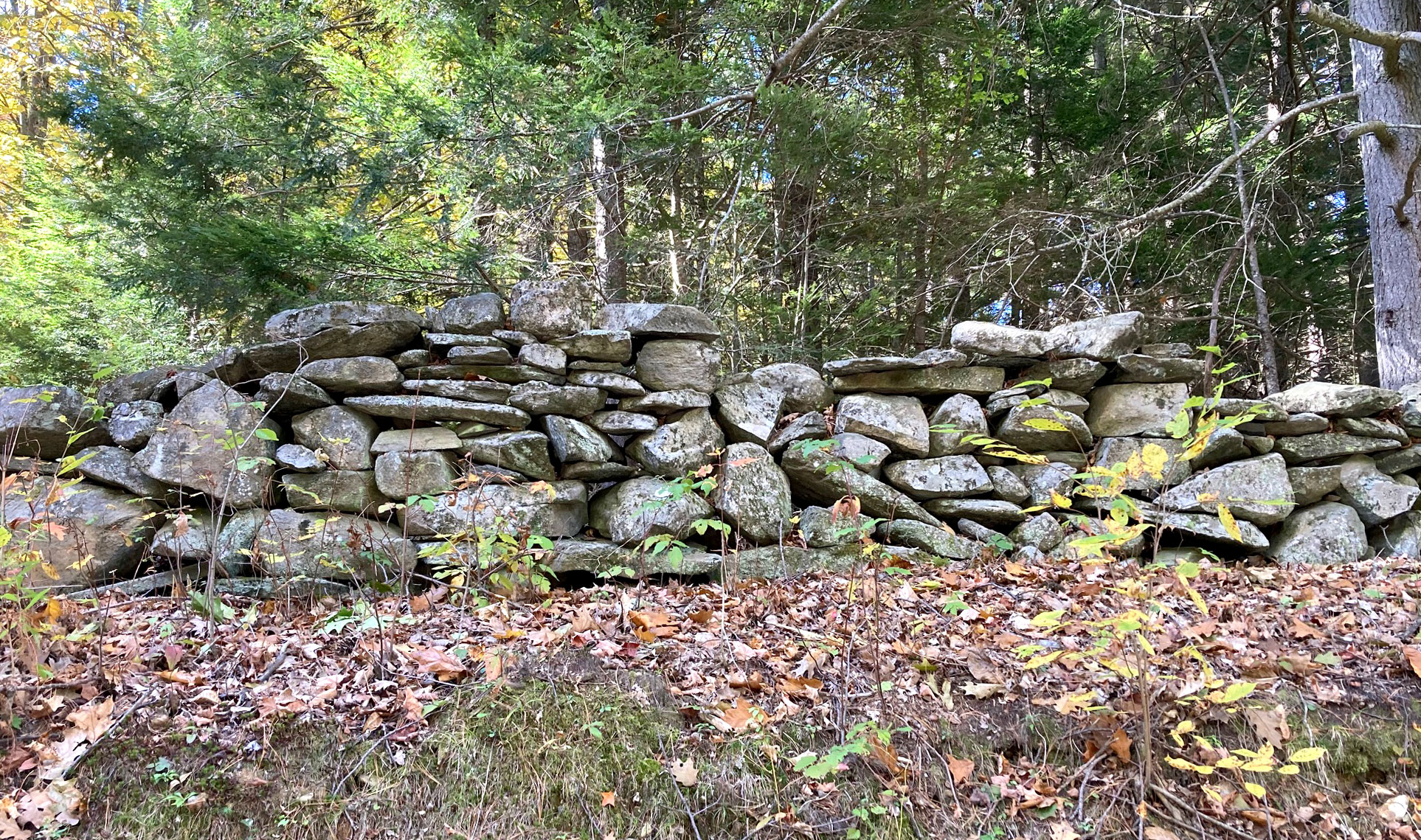Baltimore_Stonewalls