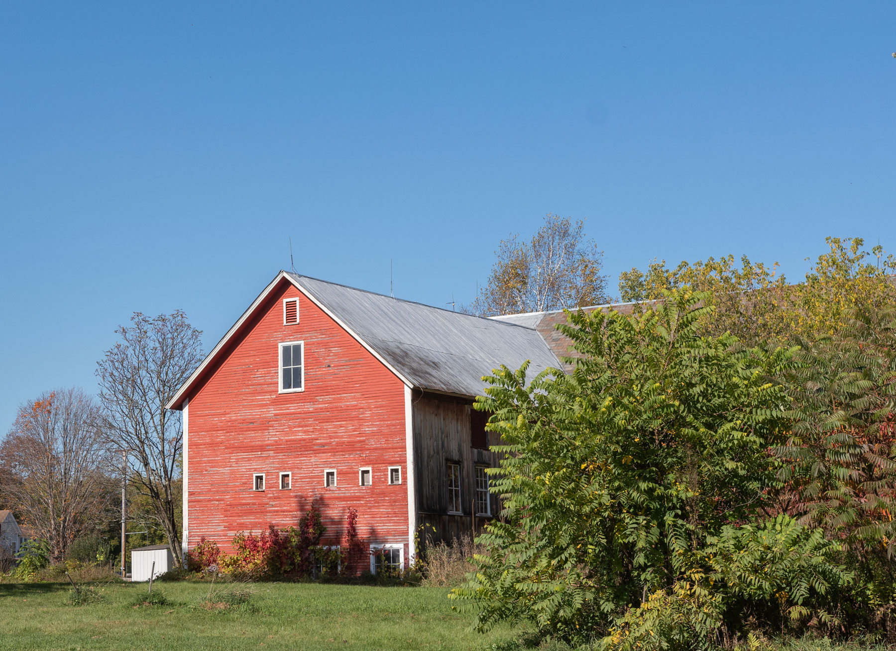 What_ to_do_in_Jericho