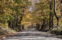 Baltimore_Dirt_Road