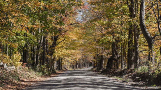 Dirt Roads and Stone Walls in Tiny Baltimore