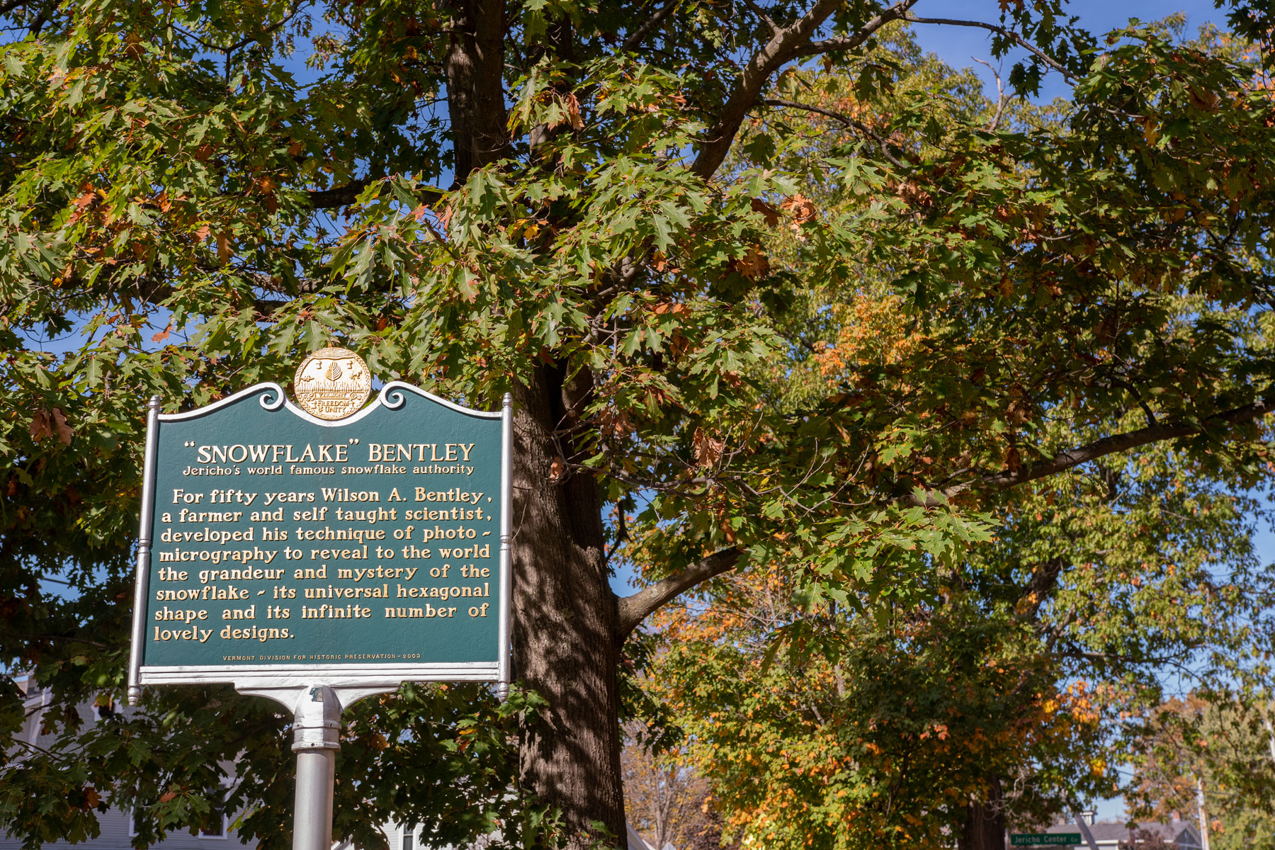 What_ to_do_in_Jericho