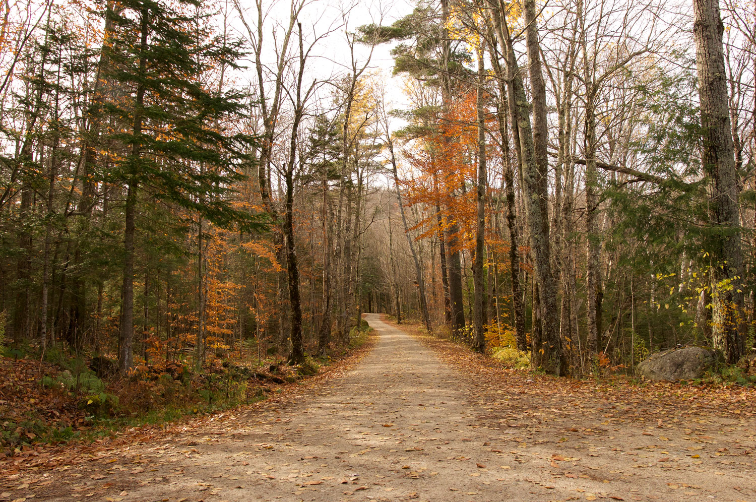 Vermont_Stick_Season_Gravel_Rides
