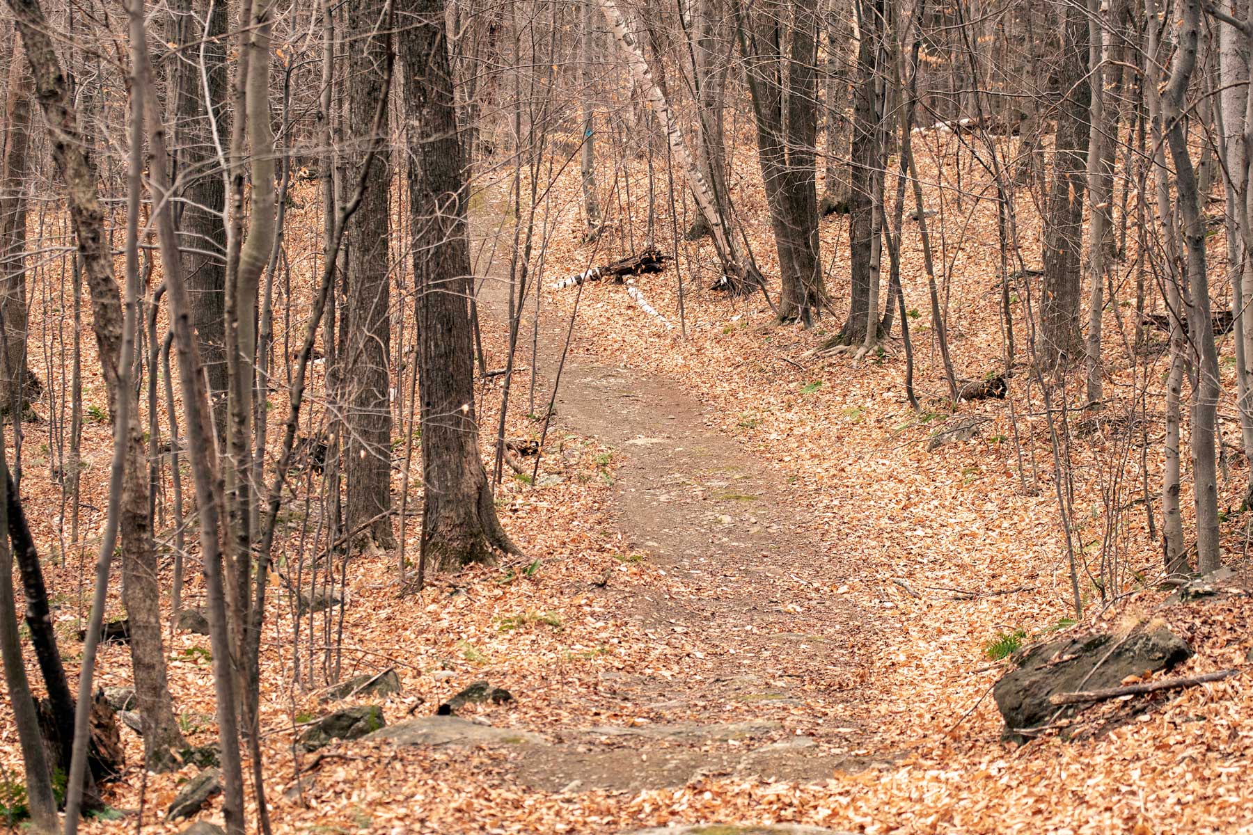 Vermont Stick Season hikes