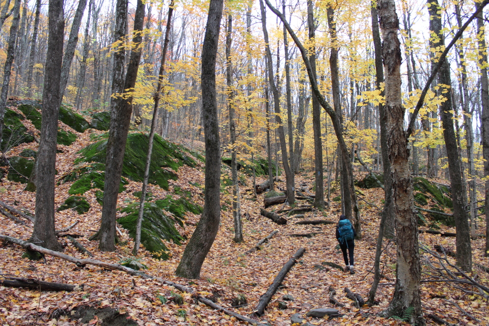 Vermont Stick Season hikes after leaves fall 