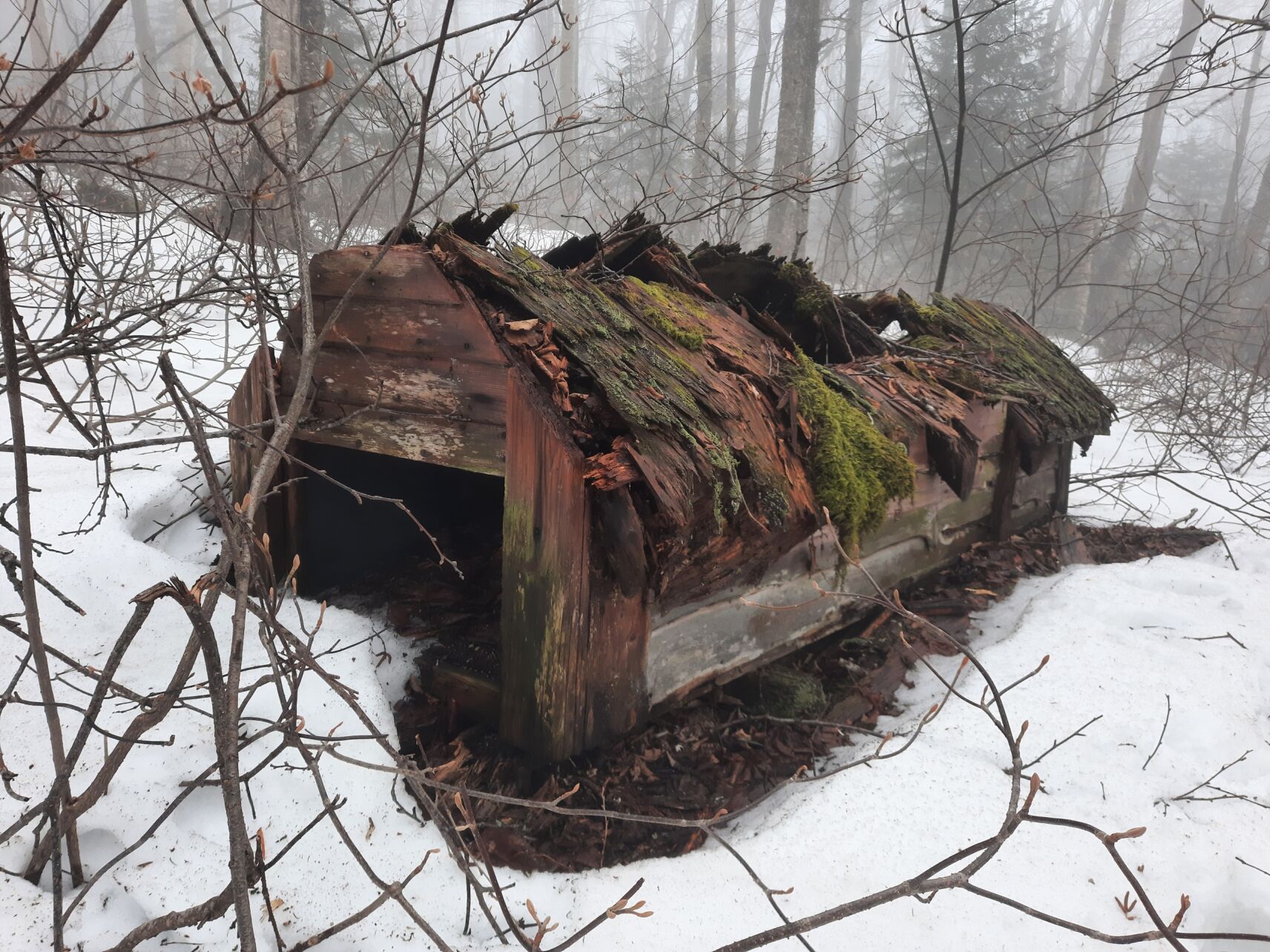lost ski slopes in Underhill. A Toboggan shed on the Stevens Trail 