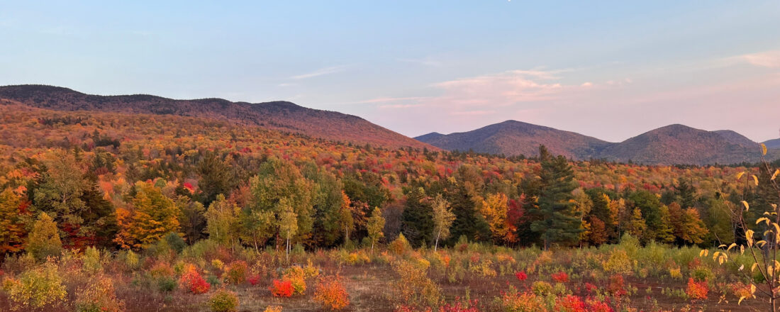 Fall in Goshen Vermont