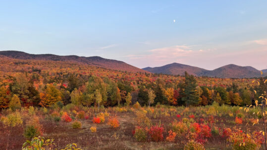 Welcome to Goshen: Blueberries, Trails + Nature Welcome to Goshen: Blueberries, Trails + Nature