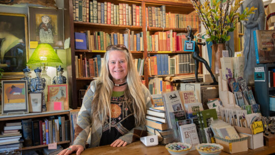 In Rochester, A Bookstore Built for Browsing, Not Rushing