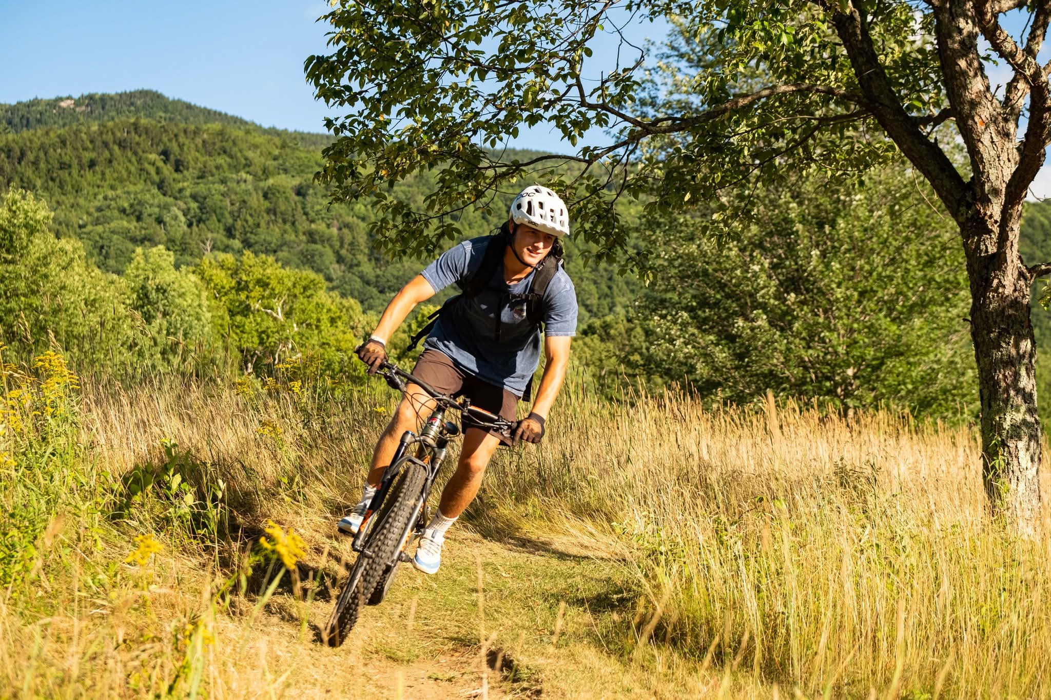 Ascutney Trails