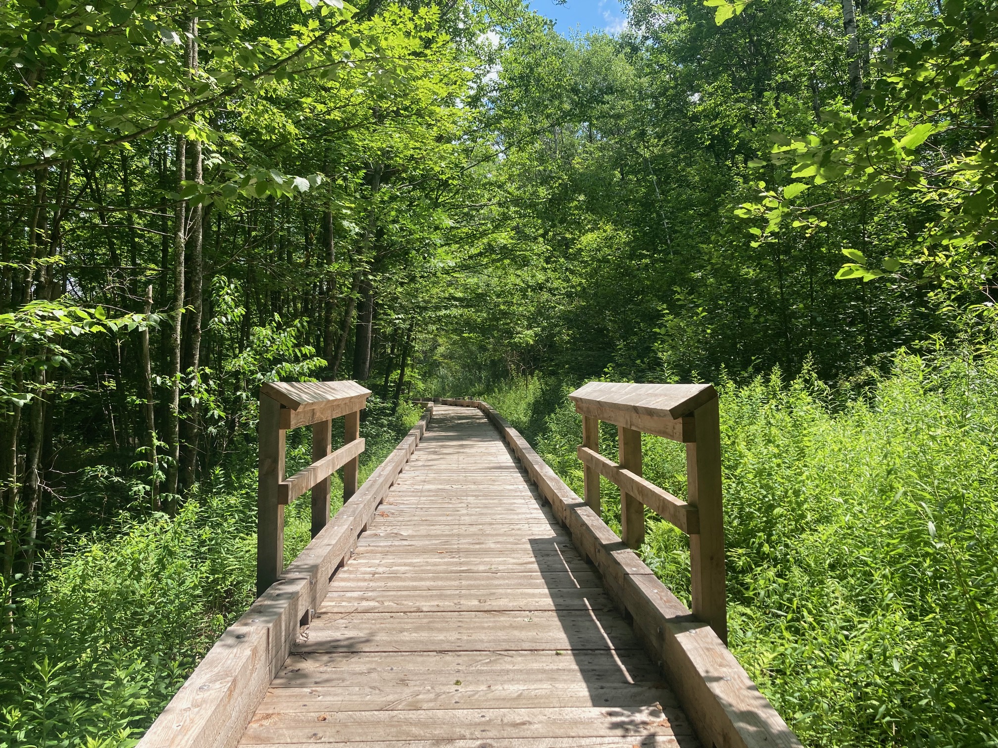 Hoot Toot and Whistle Trail