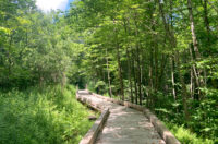 Hoot Toot and Whistle Wilmington Hiking Trails