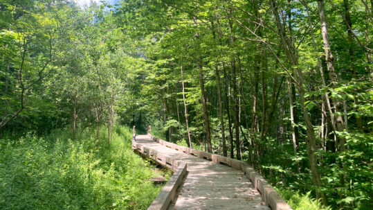 Hoot Toot and Whistle Wilmington Hiking Trails