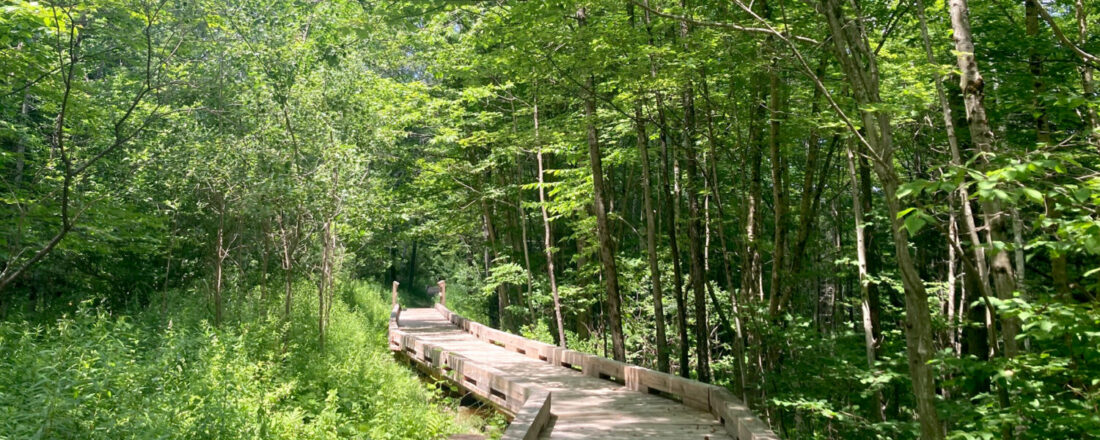 Hoot Toot and Whistle Wilmington Hiking Trails