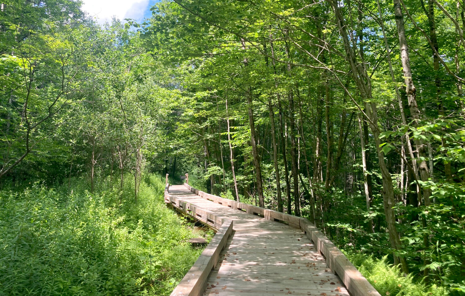 Hoot Toot and Whistle Wilmington Hiking Trails
